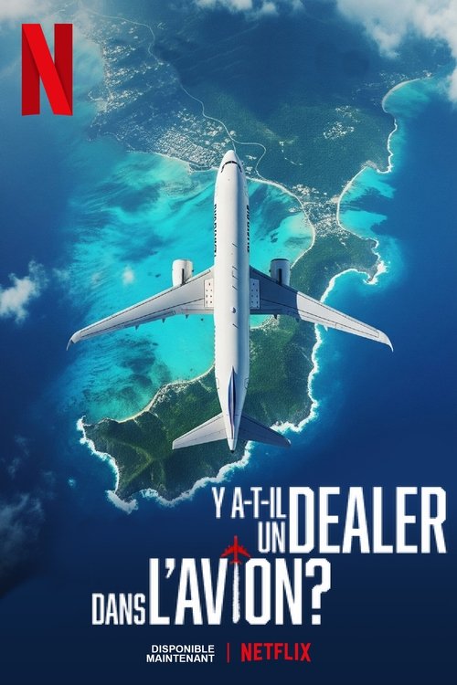 Y a-t-il un dealer dans l'avion streaming gratuit vf vostfr 